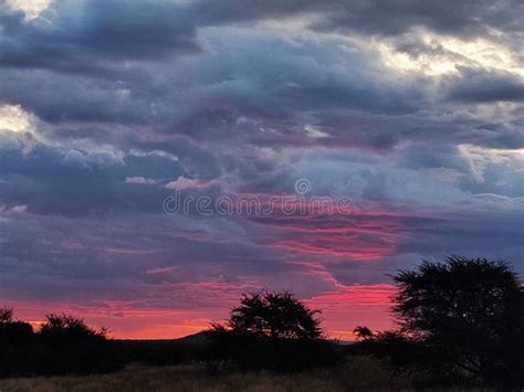 Savanna sunset stock photo. Image of sunrise, dusk, tree - 272212222