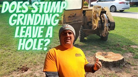 Does Stump Grinding Leave A Hole Youtube