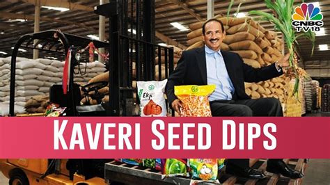 Kaveri Seed Company Hits 52 Week Low Youtube