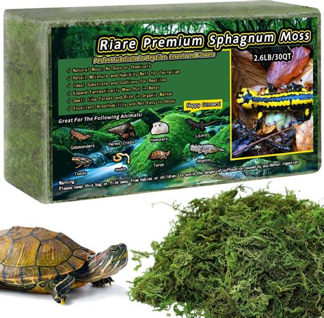 Riare Premium Natural Sphagnum Moss For Reptile Hatching Forest