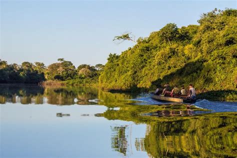 Pacotes De Viagem Mato Do Grosso Do Sul Pantanal Em Família