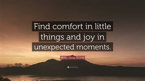 Holly Elissa Bruno Quote: “Find comfort in little things and joy in ...