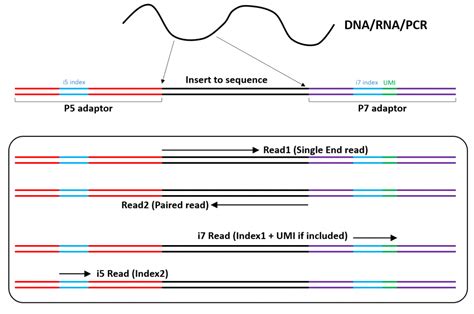 Short Read Sequencing Lausanne Genomic Technologies Facility