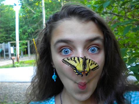 Butterfly Nose Carnival Face Paint Face Face Paint