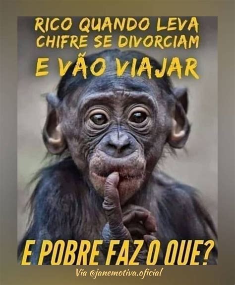 Jane Motiva 💎 On Instagram “humor Com Verdade 😂😂 Caprichem Nas Respostas Reflexão M