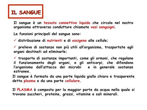 Apparato Circolatorio Diapositive1 Lezioni Di Scienze Scienza