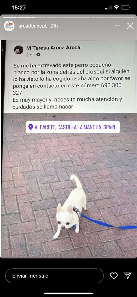 Nuri On Twitter Se Han Perdido Estos Perritos En Albacete Lo Han