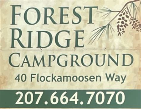 Forest Ridge Campground – FLOCKAMOOSEN WAY, the WAY Camping Should Be