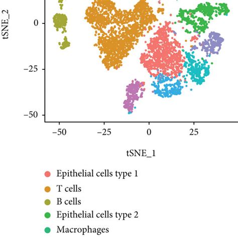 Characteristics Of The Cell Subsets A Annotated Cell Subsets B Download Scientific