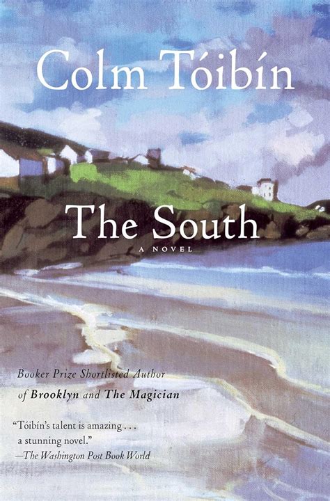 The South A Novel Toibin Colm 9781476704487 Books