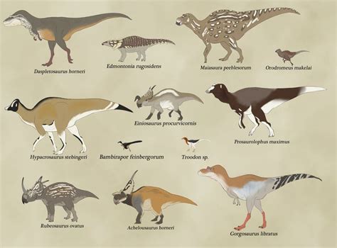 Here Are The Main Dinosaurs Of Two Medicine Formation Montana During