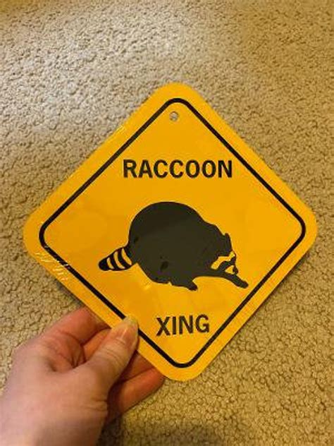 Raccoon Xing 6x6 Inch Small Funny Aluminum Crossing Sign Etsy