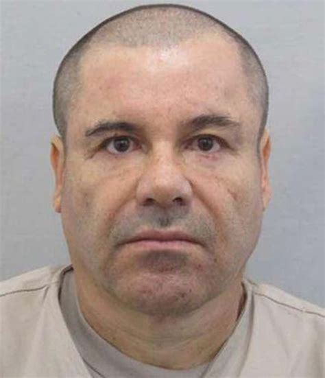 beheading with a chainsaw 1