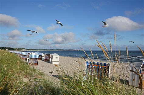 Strand Mit M Wen Und Strandk Rben Im Bild Kaufen Lookphotos