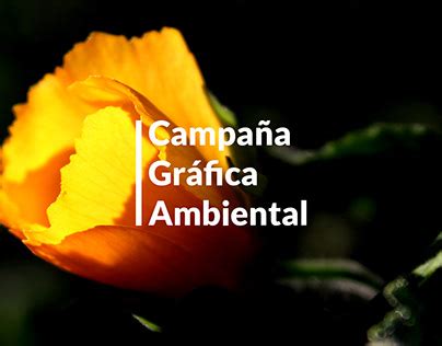 Campa A Ambiental Projects Photos Videos Logos Illustrations And