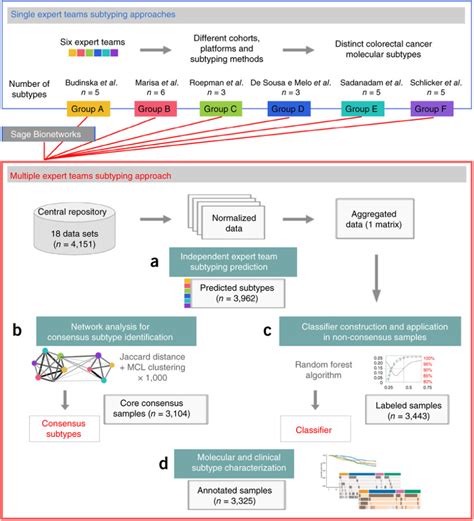 Rna Seq Reveals The Consensus Molecular Subtypes Of Colorectal Cancer