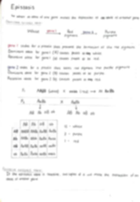 Solution Inheritance Dihybrid Cross Autosomal Linkage Sex Linkage