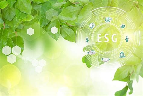 500 Esg Ảnh Ảnh Và Hình Nền Để Tải Về Miễn Phí Pngtree