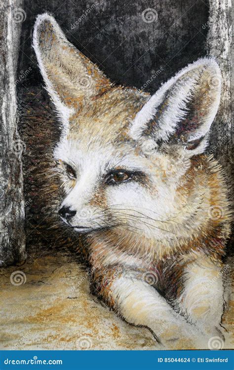 Renard De Fennec De Dessin Illustration Stock Illustration Du Croquis