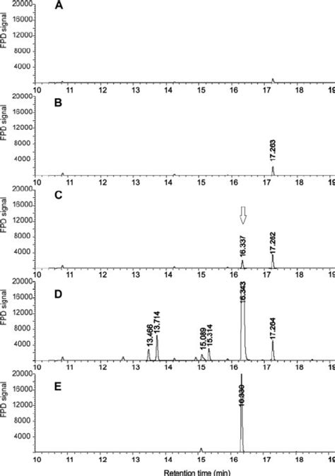 Gc Fpd Analysis Of Axilla Secretions Treated With The Tpda And The