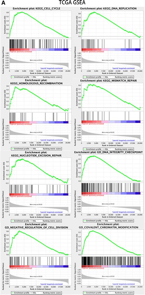 Gene Set Enrichment Analysis Gsea And Gene Ontology Go A Gsea In