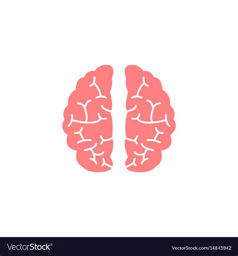 Flat Brain Icon