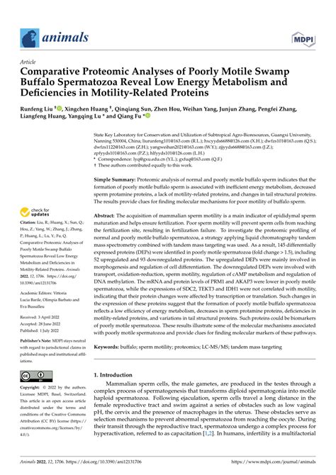 Pdf Comparative Proteomic Analyses Of Poorly Motile Swamp Buffalo