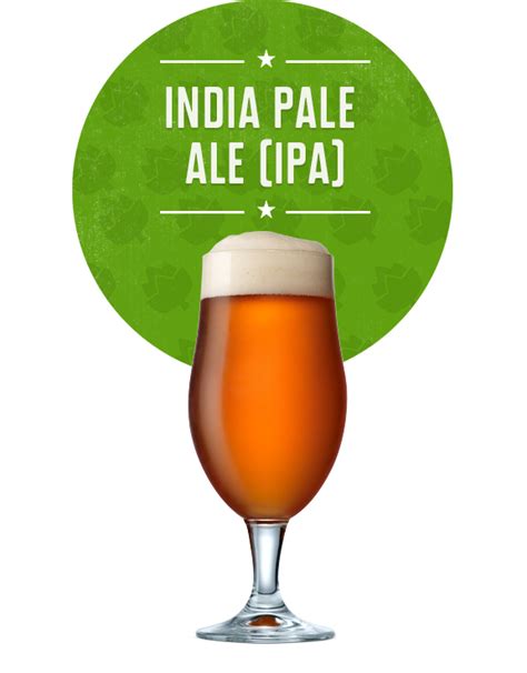 Nachfüllpaket India Pale Ale IPA Besserbrauer