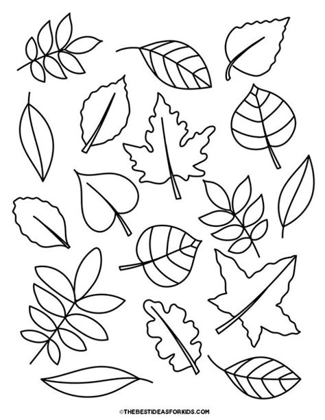 Leaf Coloring Pages Free Printables The Best Ideas For Kids Leaf