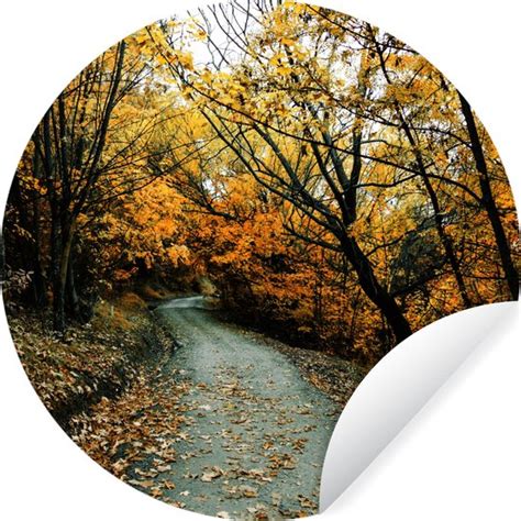 WallCircle Muurstickers Behangcirkel Bladeren Herfst Bos