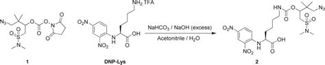 Synthesis of... | Download Scientific Diagram