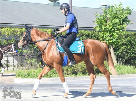 【新馬戦出走馬】池江厩舎の超良血トリオ、阪神で初陣！ 3連複formation全頭流し！