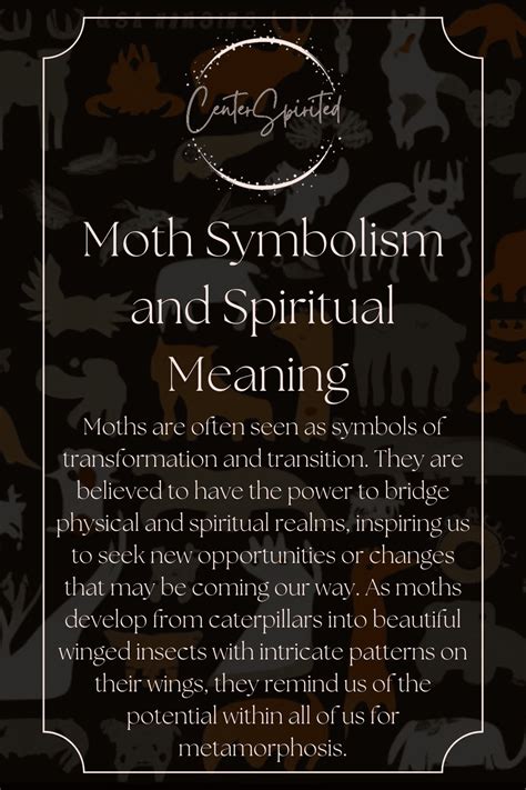 Moth Symbolism And Spiritual Meaning Of Seeing Onemoths Have Long Been