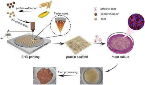 New 3D-printing ink could make cultured meat more cost-effective