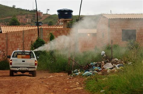 Gdf Declara Situação De Emergência Após Explosão De Casos Da Dengue