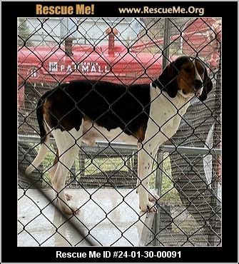 - Ohio Dog Rescue - ADOPTIONS - Rescue Me!