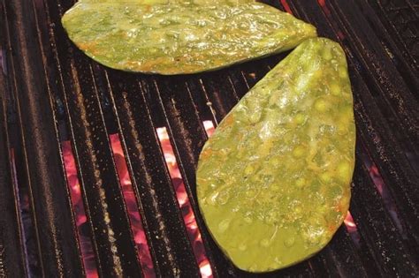 Propiedades Nutricionales Del Nopal Y Sus Beneficios Para La Salud