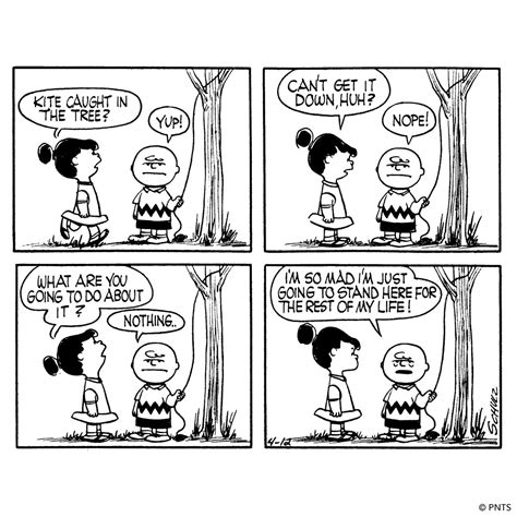 Charles M Schulz Museum On Twitter 🪁 Charlie Brown Gets His Kite Stuck In A Tree For The