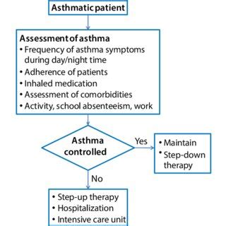 Common triggers of asthma | Download Scientific Diagram