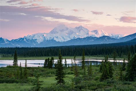 Denali Photo Guides