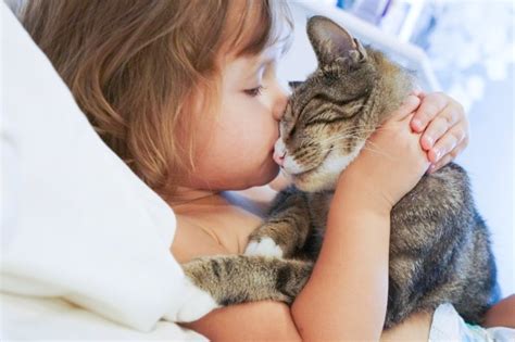 Cómo Elegir La Mejor Mascota Para Los Niños