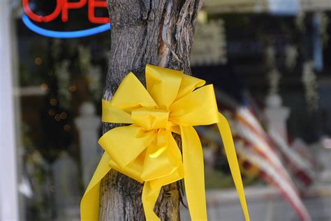 Military Yellow Ribbon Oak Tree