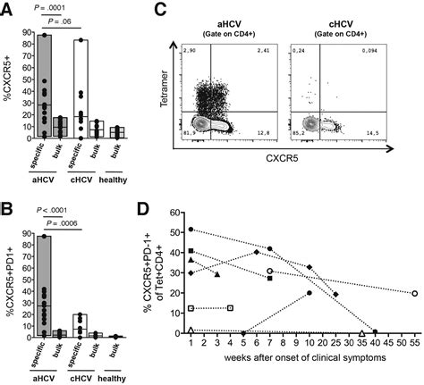 Virus Specific Cd T Cells Have Functional And Phenotypic