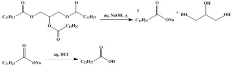 Organic Syntheses Procedure