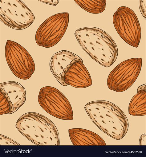 Almond Seamless Pattern Royalty Free Vector Image