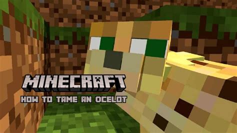 How To Tame An Ocelot In Minecraft