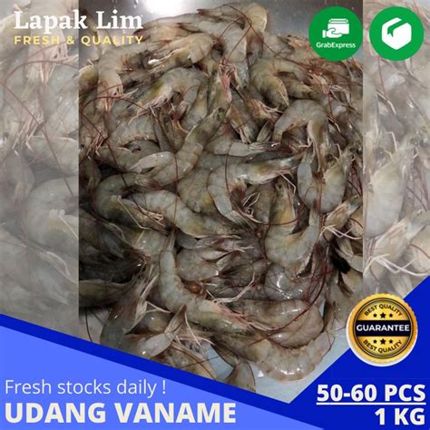 Jual Udang Panami Fresh Udang Vannamei Segar No Frozen Kg