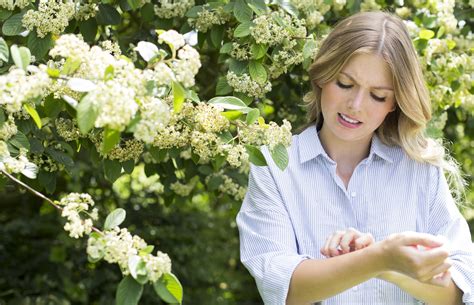 Do I Have a Hay Fever Rash?