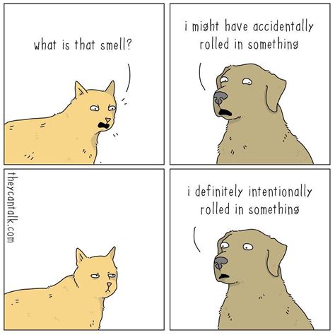 23 Comics Reveal What Animals Would Say If They Could Talk Artofit