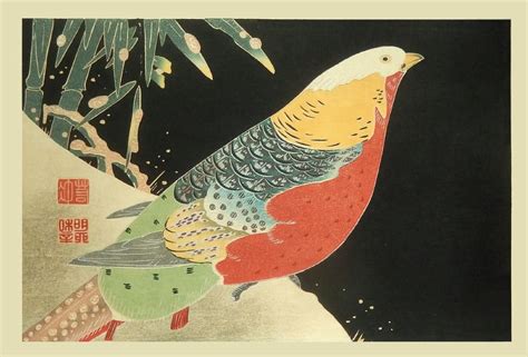 Ito Jakuchu After Golden Pheasant And Bamboo In Snow Japanese